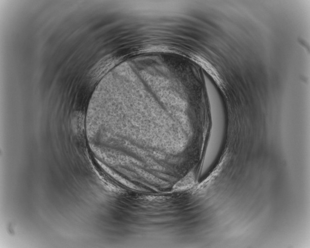 X0000094780849200712071203