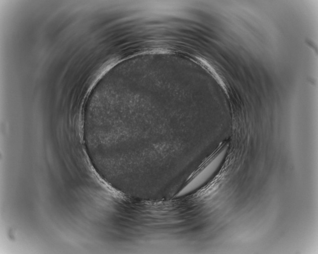 X0000094780851200712071203