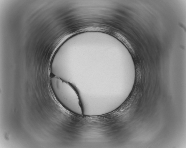 X0000094780852200712071203