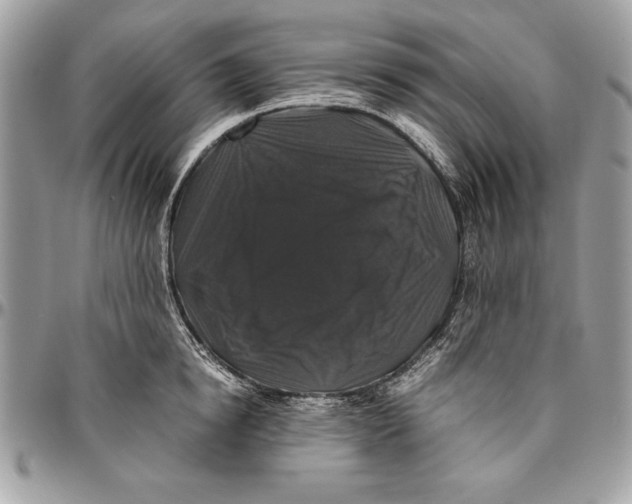 X0000094780854200712071203