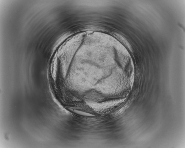 X0000094780855200712071203