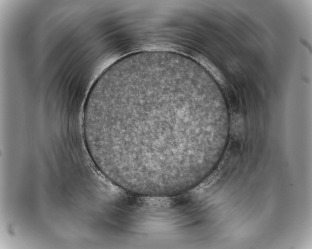 X0000094780856200712071203