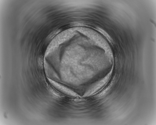 X0000094780857200712071203