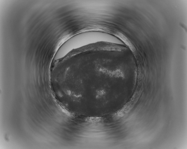 X0000094780858200712071203