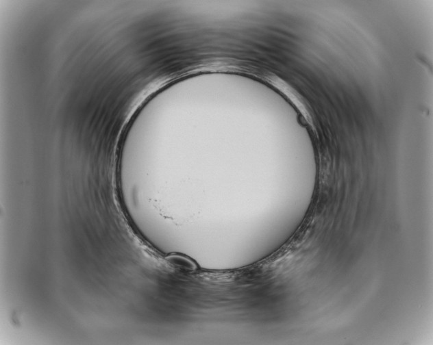 X0000094780861200712071203