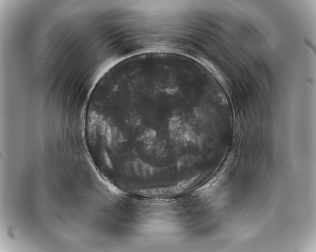 X0000094780862200712071203