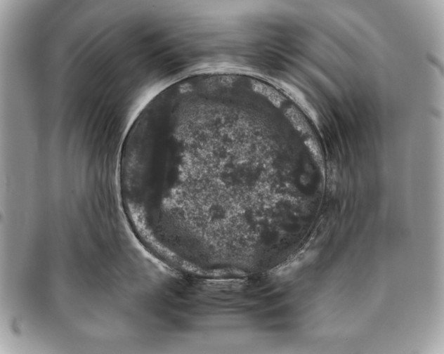 X0000094780863200712071203