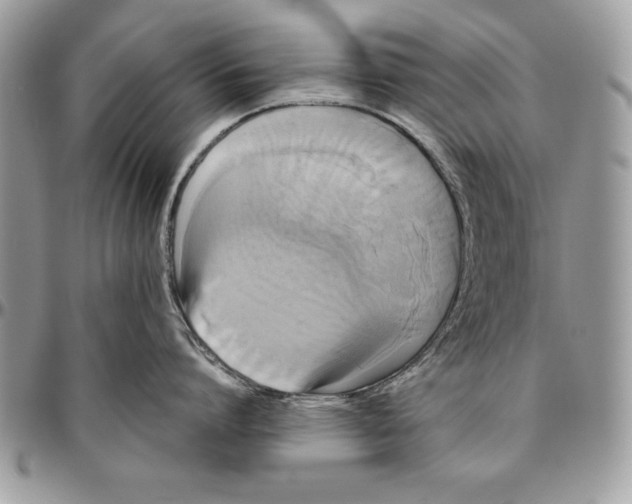 X0000094780864200712071203