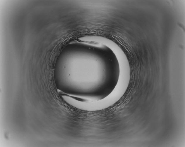 X0000094780865200712071202