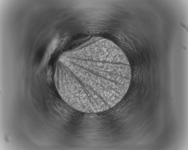 X0000094780866200712071202