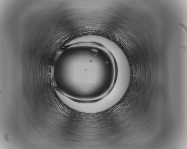 X0000094780868200712071202