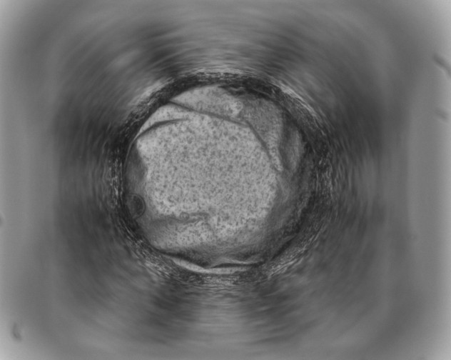 X0000094780870200712071202