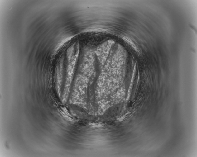 X0000094780872200712071202