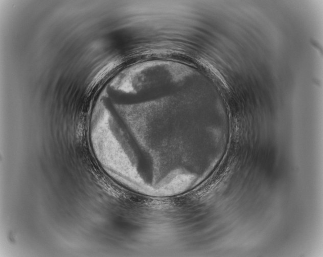 X0000094780874200712071202