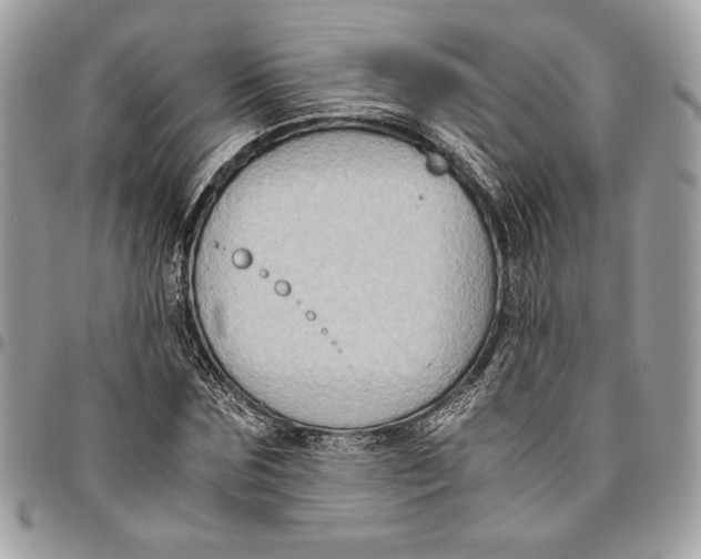 X0000094780875200712071202