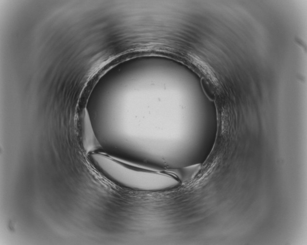 X0000094780876200712071202