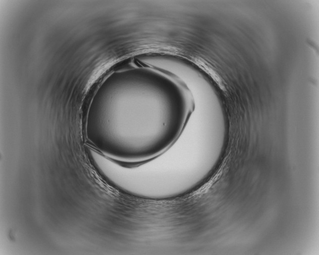 X0000094780877200712071202