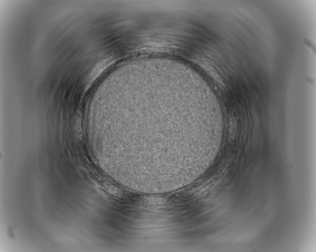 X0000094780878200712071202