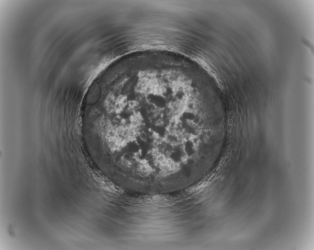 X0000094780879200712071202