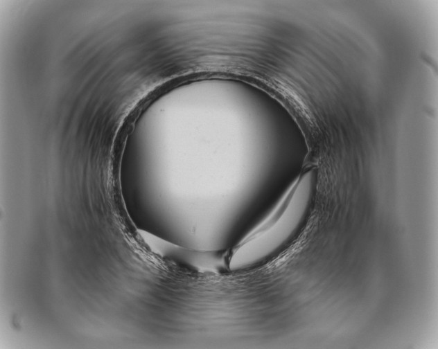 X0000094780880200712071202