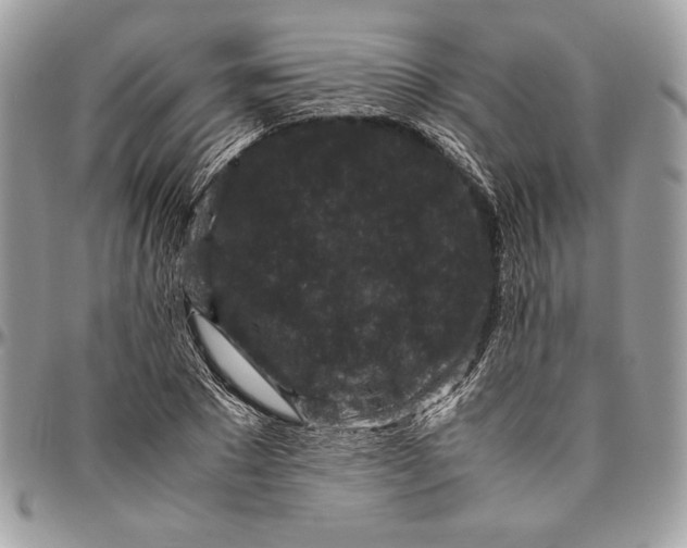 X0000094780881200712071202