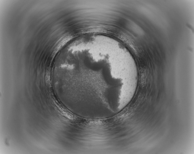 X0000094780882200712071202