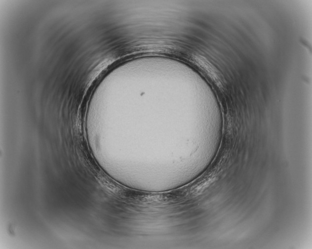 X0000094780883200712071202