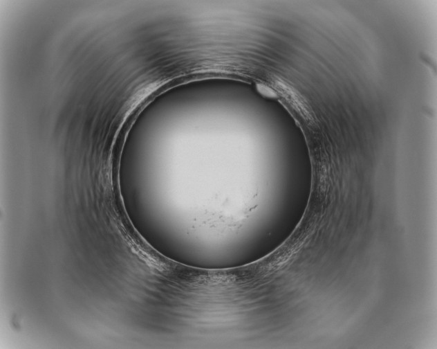 X0000094780884200712071202