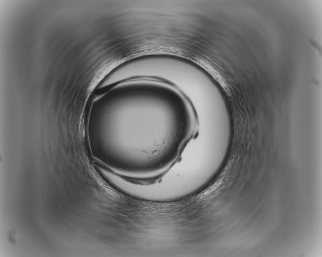 X0000094780885200712071202