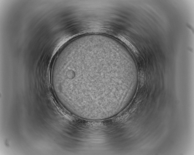 X0000094780886200712071202