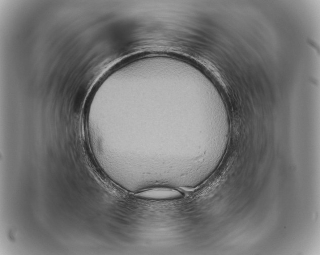 X0000094780887200712071202