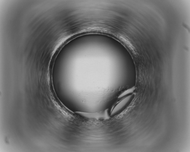 X0000094780888200712071202