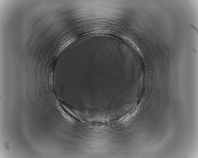 X0000094780889200712071202