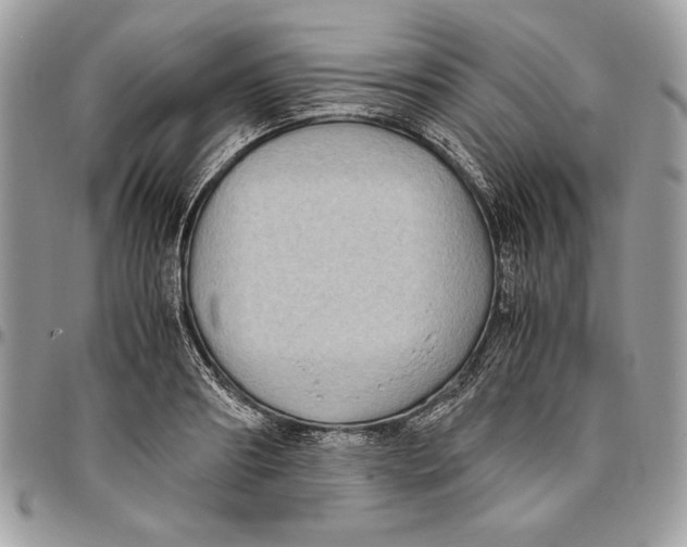 X0000094780890200712071202