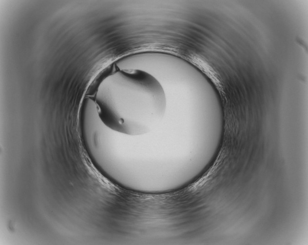 X0000094780892200712071202