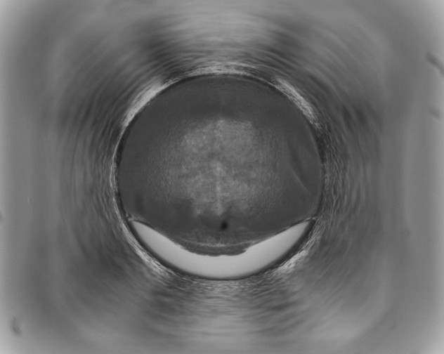 X0000094780893200712071202