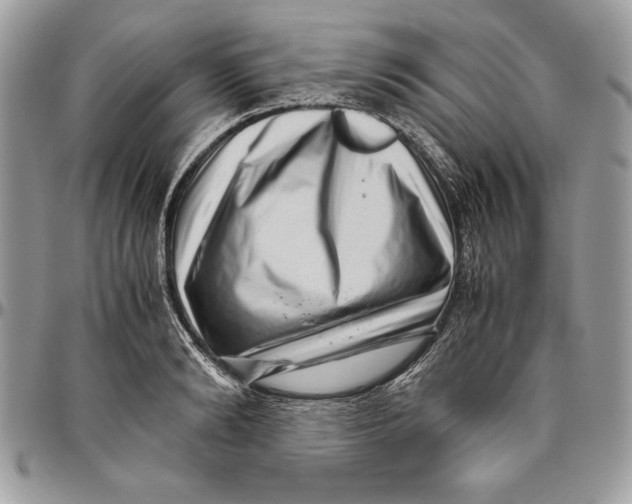 X0000094780894200712071202