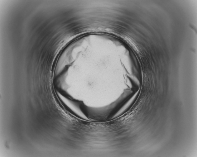 X0000094780895200712071202