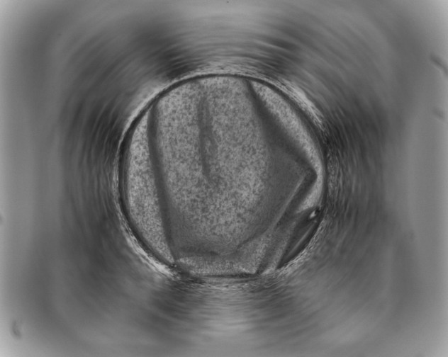 X0000094780896200712071202