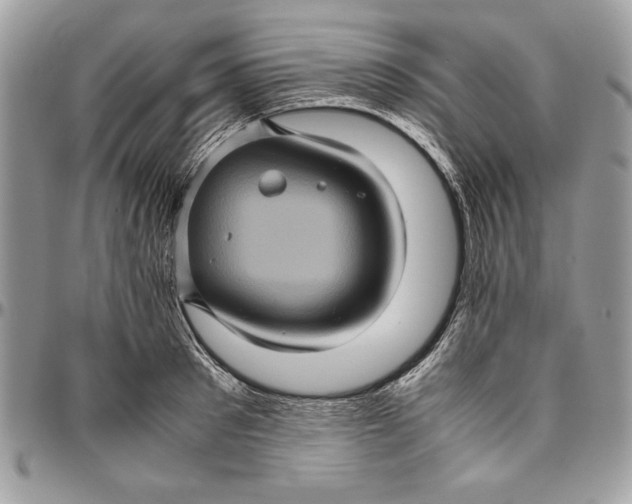 X0000094780897200712071202