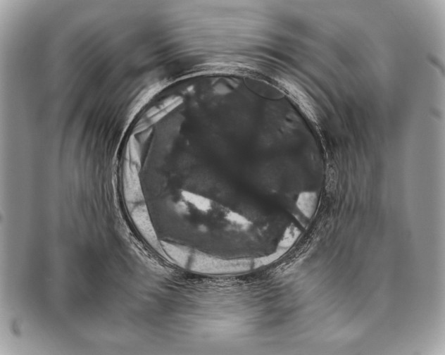 X0000094780899200712071202