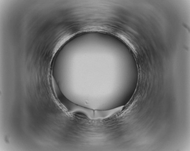 X0000094780901200712071202