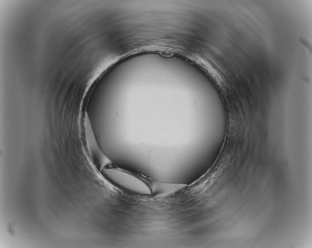 X0000094780902200712071202