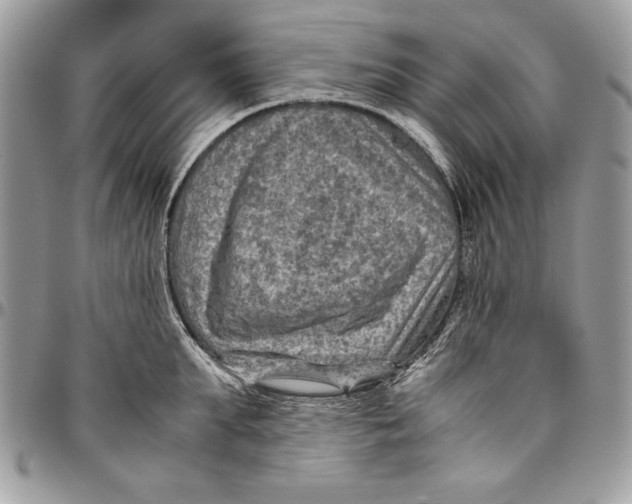 X0000094780903200712071202