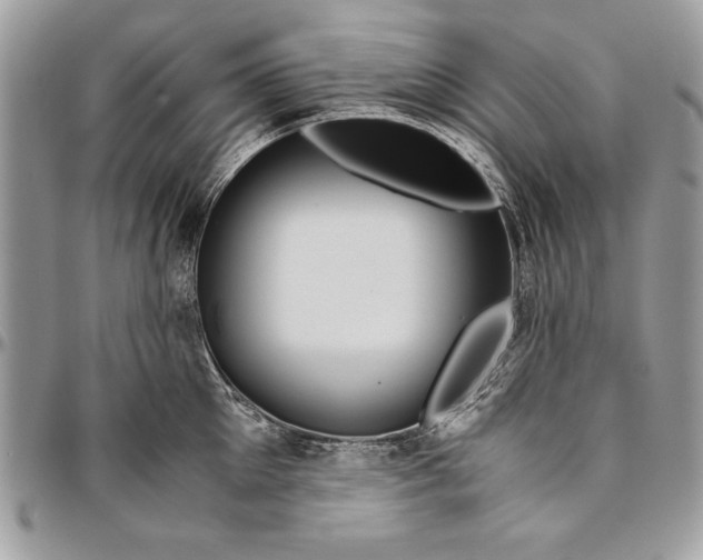 X0000094780905200712071202