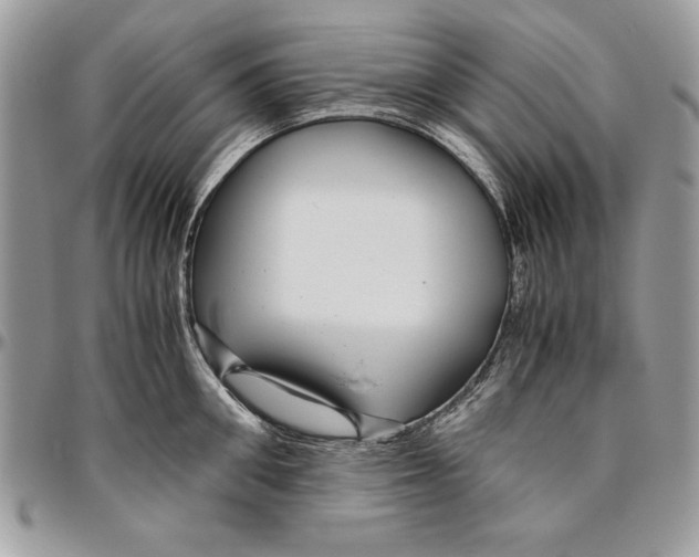 X0000094780906200712071201