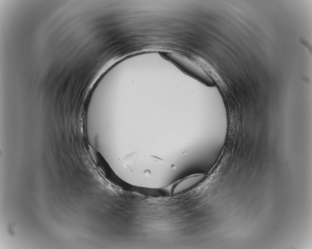 X0000094780908200712071201