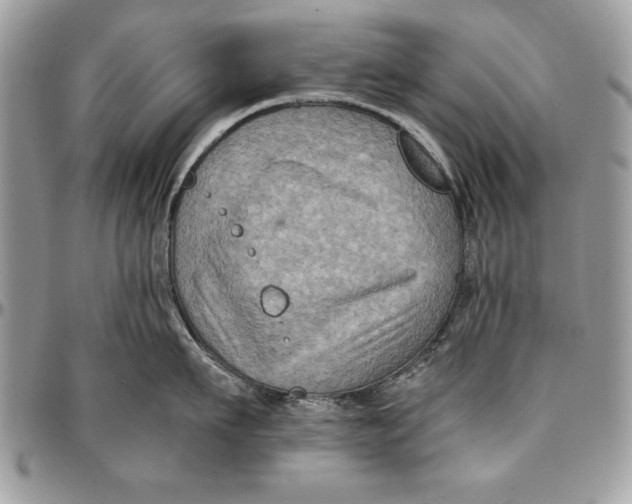 X0000094780911200712071201