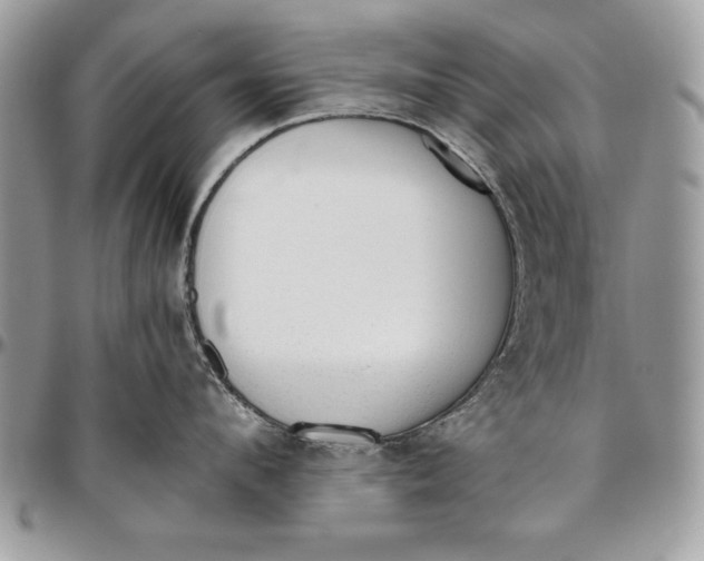 X0000094780912200712071201