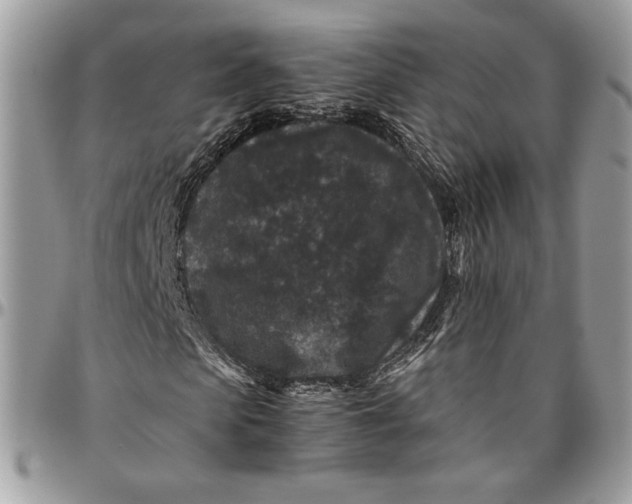 X0000094780913200712071201